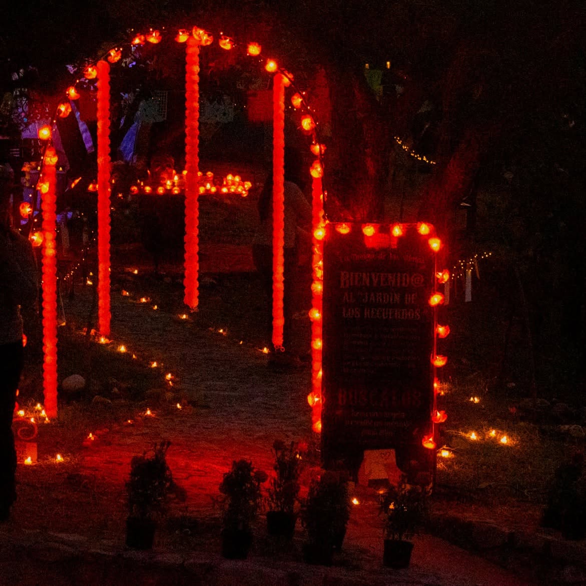 LA TRADICIONAL ELOTIZA